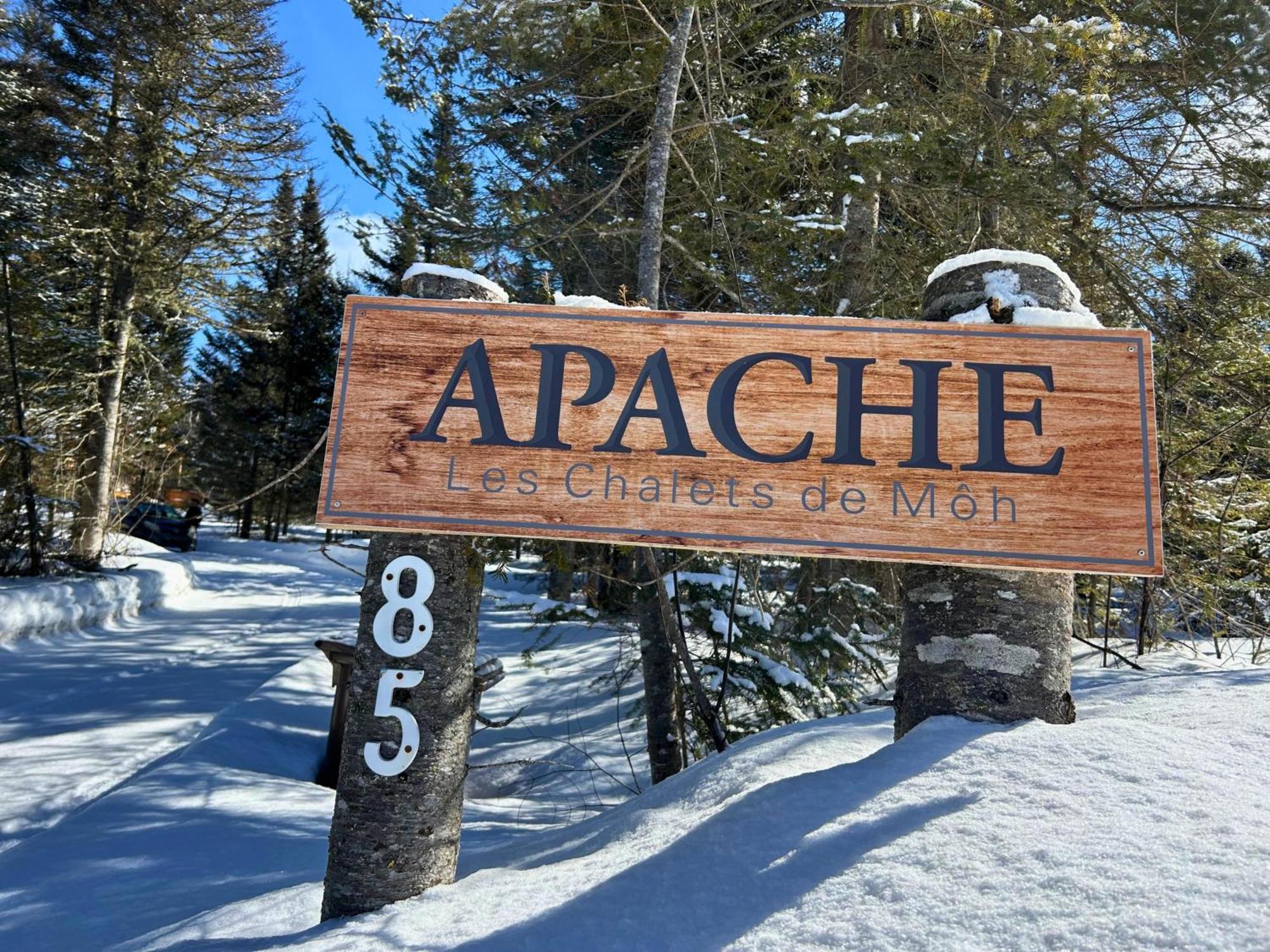 Chalet Bigfoot - De Moh - 6 - Jacuzzi La Malbaie